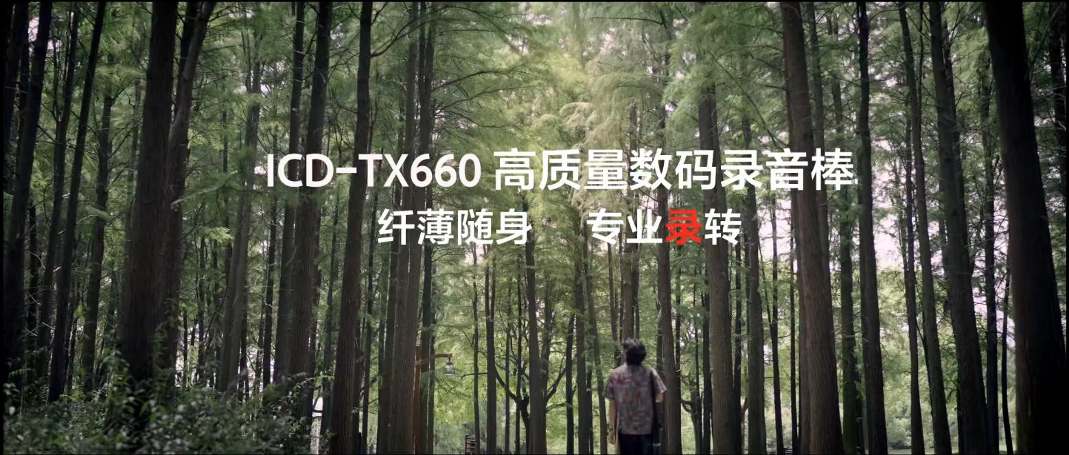 录音笔功能片